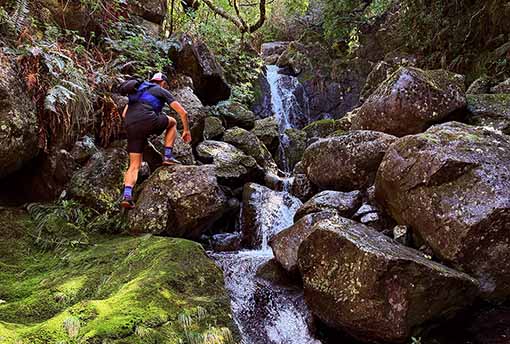 Private Hike Hidden paths and Levadas